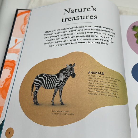 Nature’s Treasures-Tales of more than 100 Extraordinary Objects from Nature - Picture 9 of 14